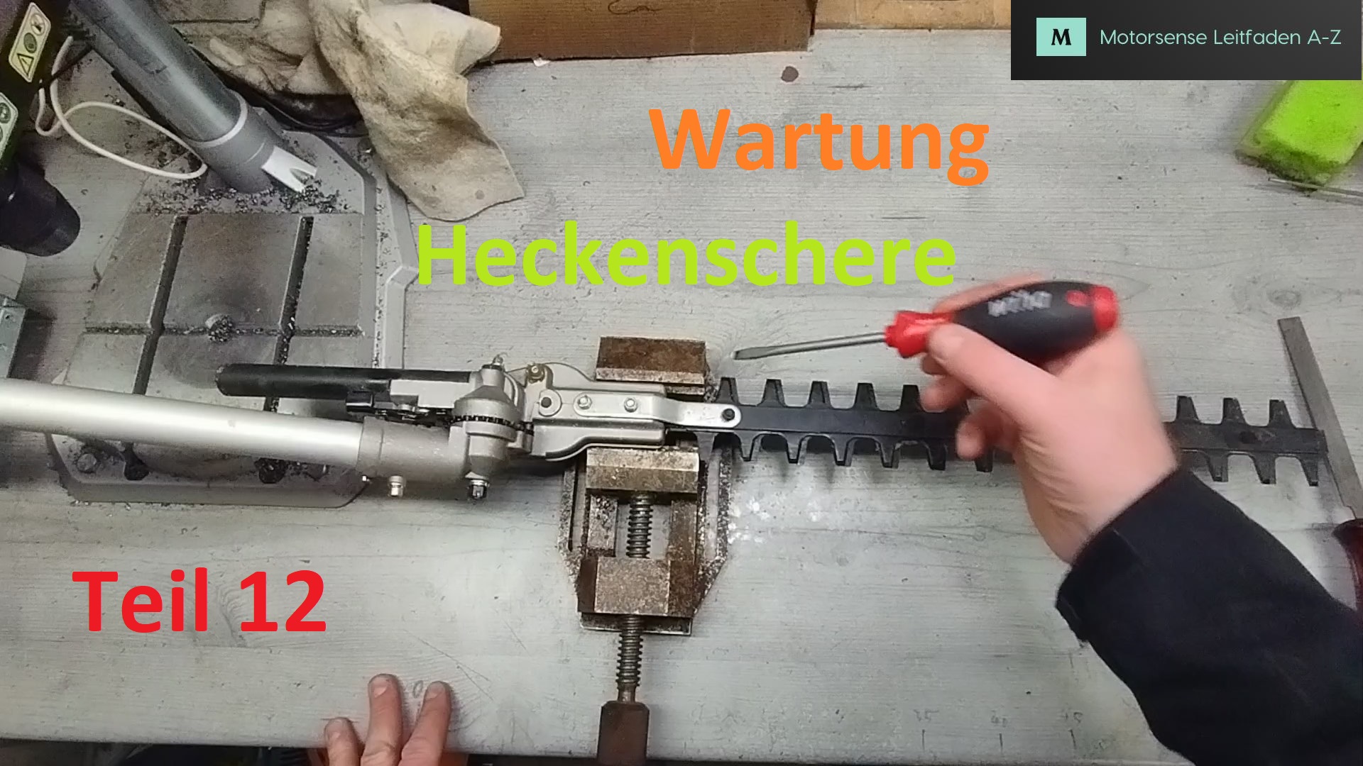 Motorsensen Leitfaden A Z Teil 12 Wartung Heckenscheren Aufsatz Titelbild