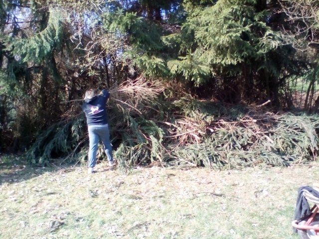 Bild von