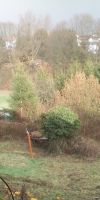 Bild von