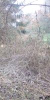 Bild von