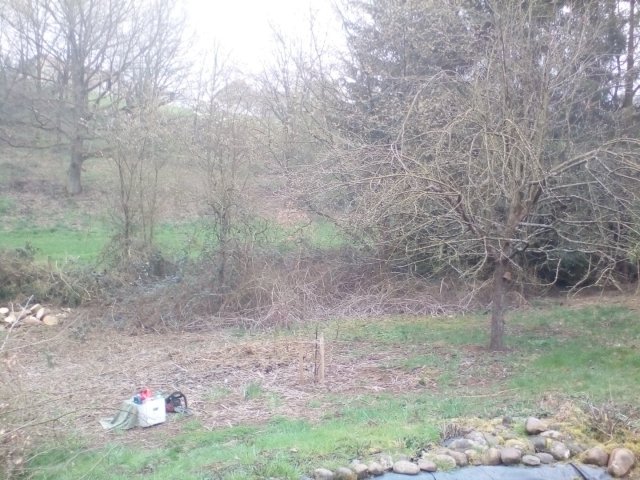 Bild von