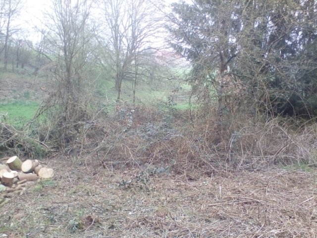 Bild von