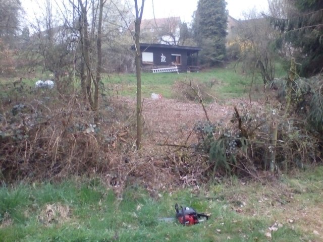 Bild von