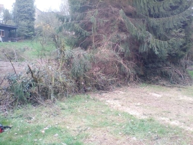 Bild von