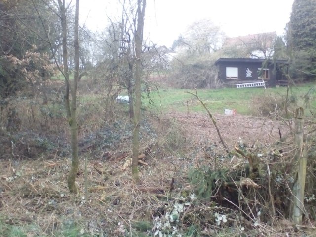 Bild von