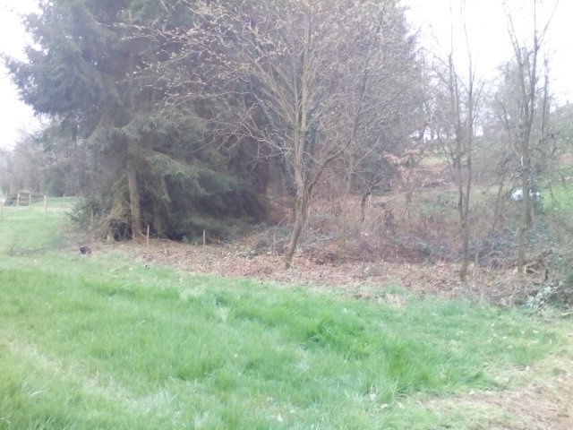 Bild von