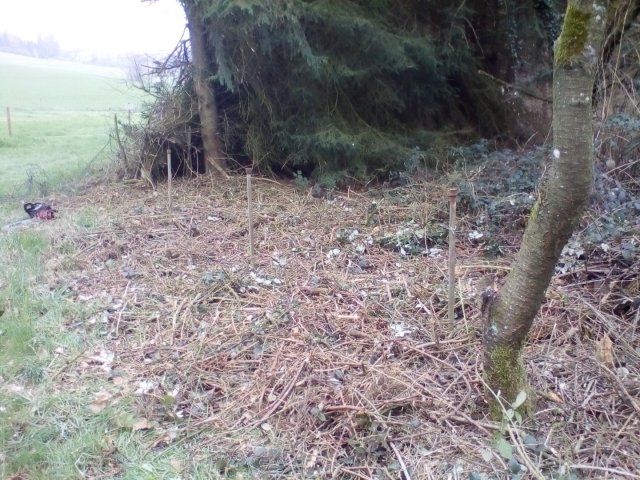 Bild von