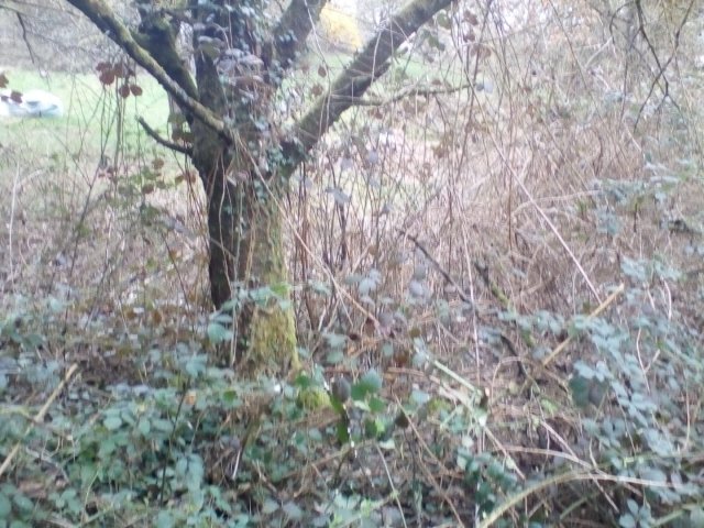 Bild von
