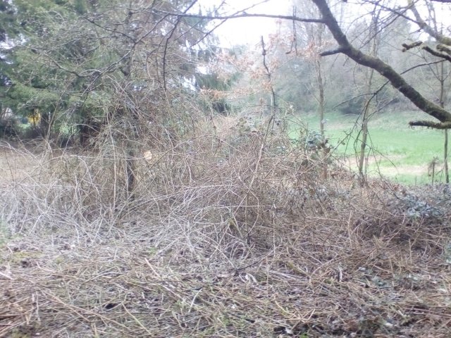 Bild von