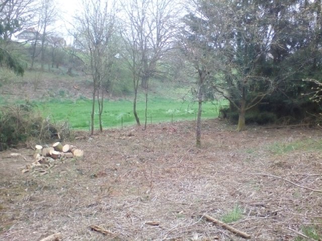 Bild von