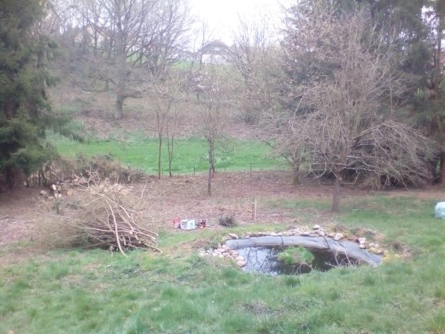 Bild von