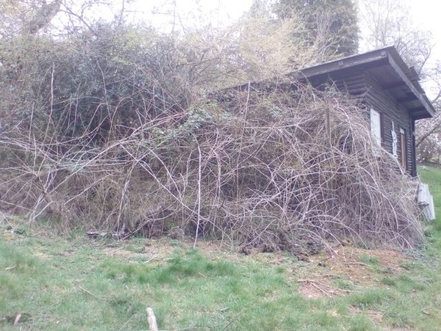 Bild von