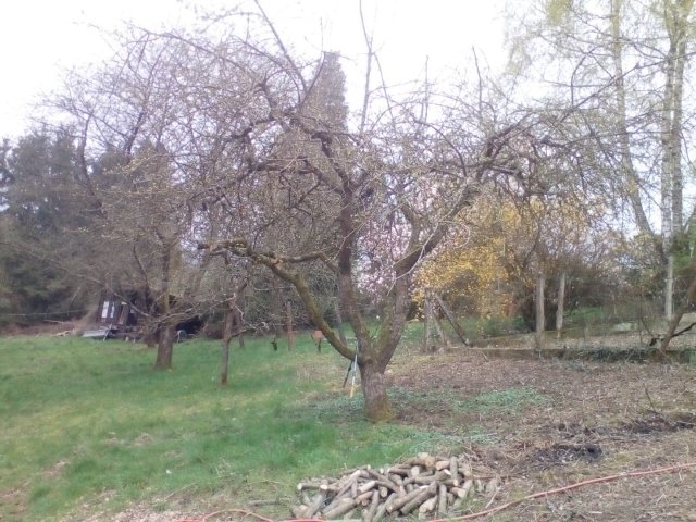 Bild von