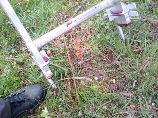 Bild von