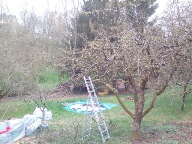Bild von