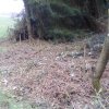 Bild von