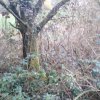 Bild von