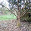 Bild von