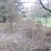 Bild von
