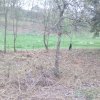 Bild von