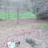Bild von