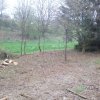 Bild von