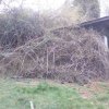 Bild von