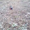 Bild von