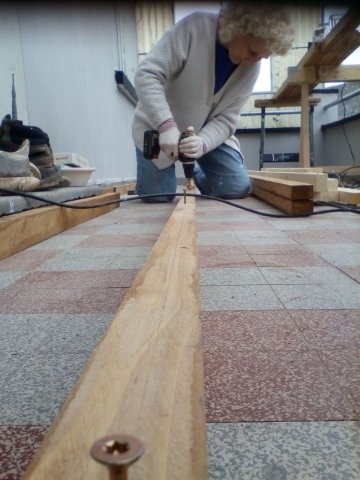 Bild von