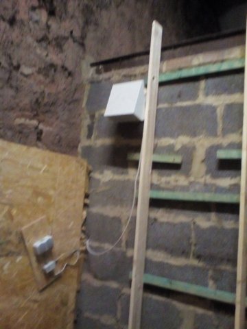 Bild von