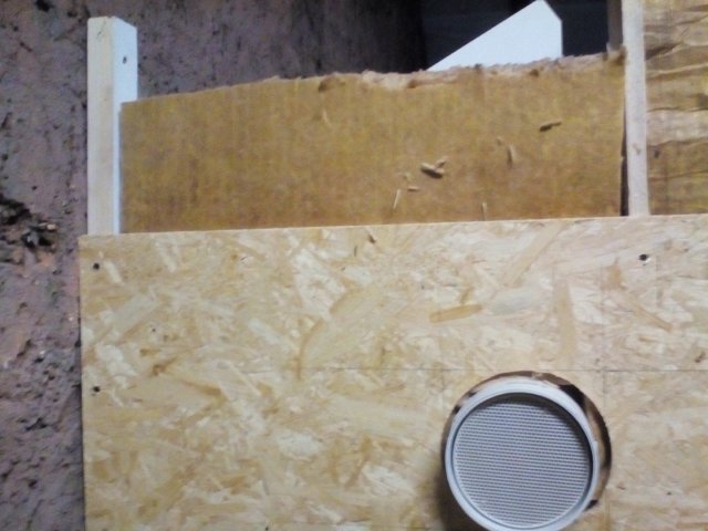 Bild von