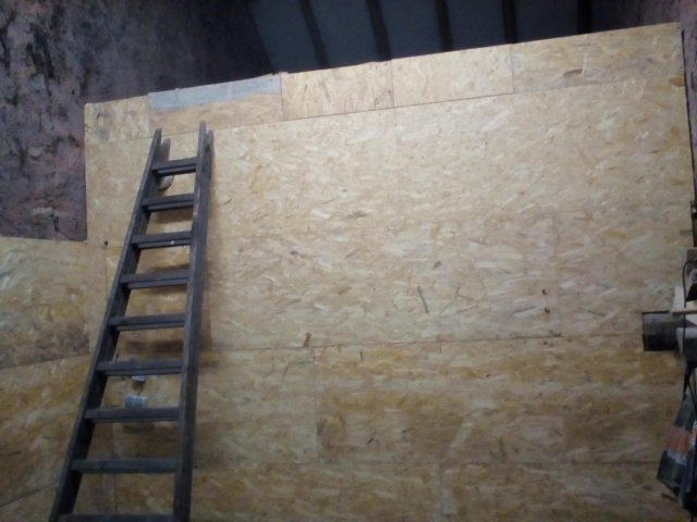 Bild von