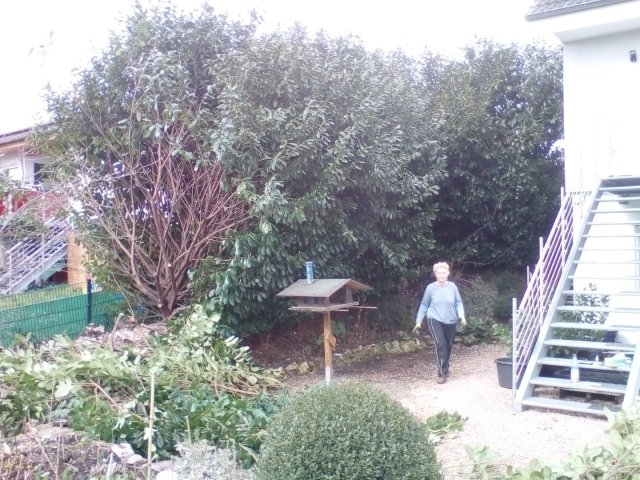 Bild von