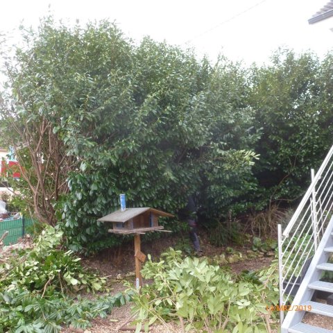 Bild von