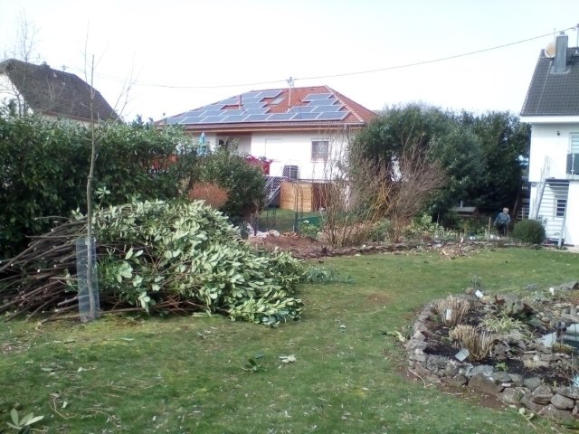 Bild von