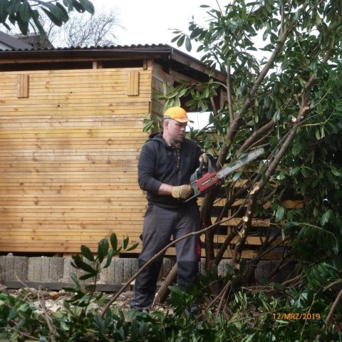 Bild von