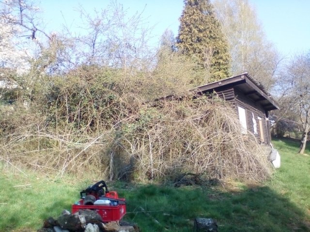Bild von