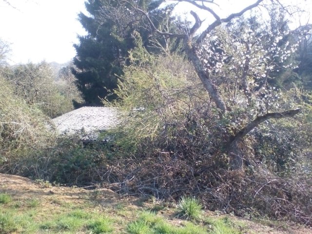 Bild von