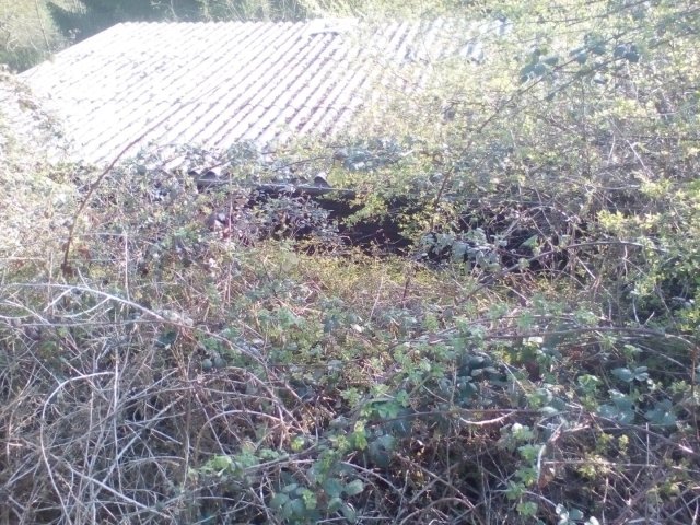Bild von
