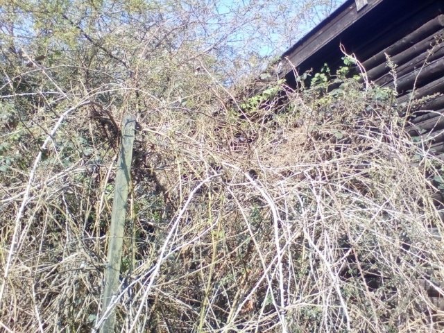 Bild von