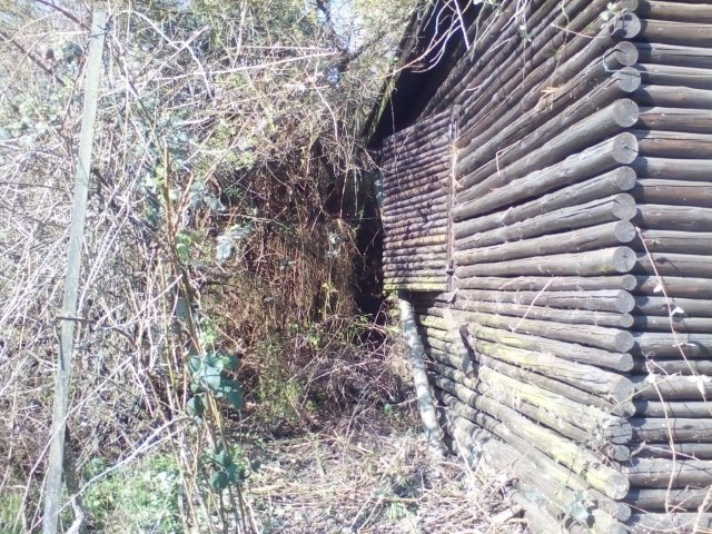 Bild von