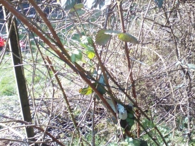 Bild von
