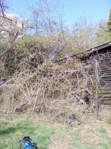 Bild von