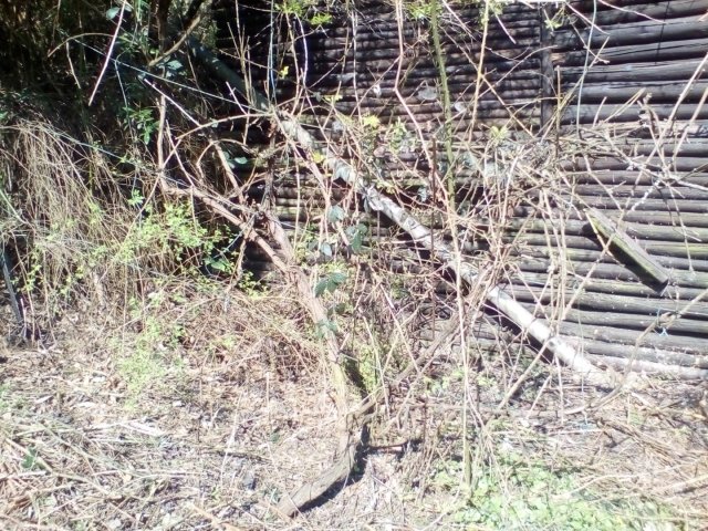 Bild von