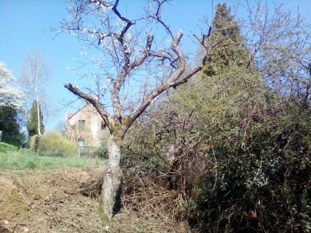 Bild von