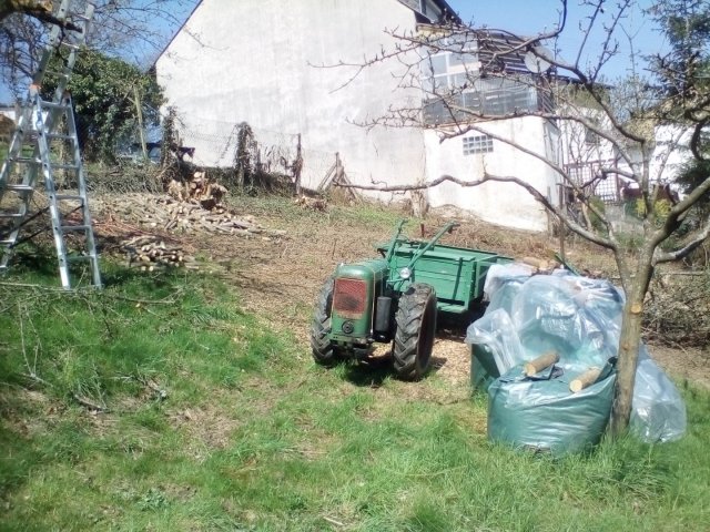 Bild von