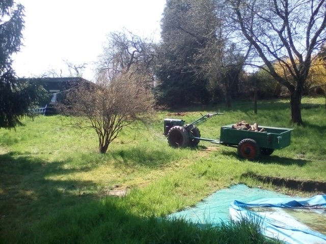Bild von