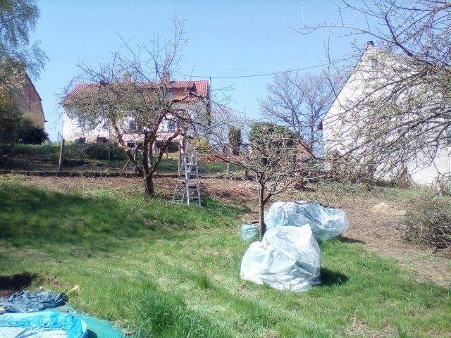 Bild von