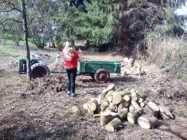 Bild von