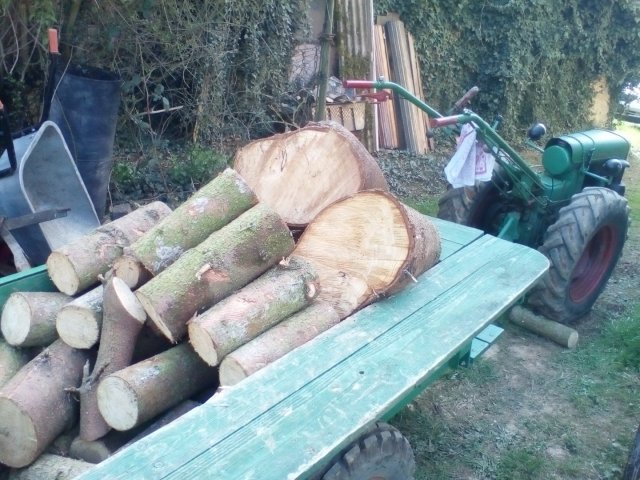 Bild von